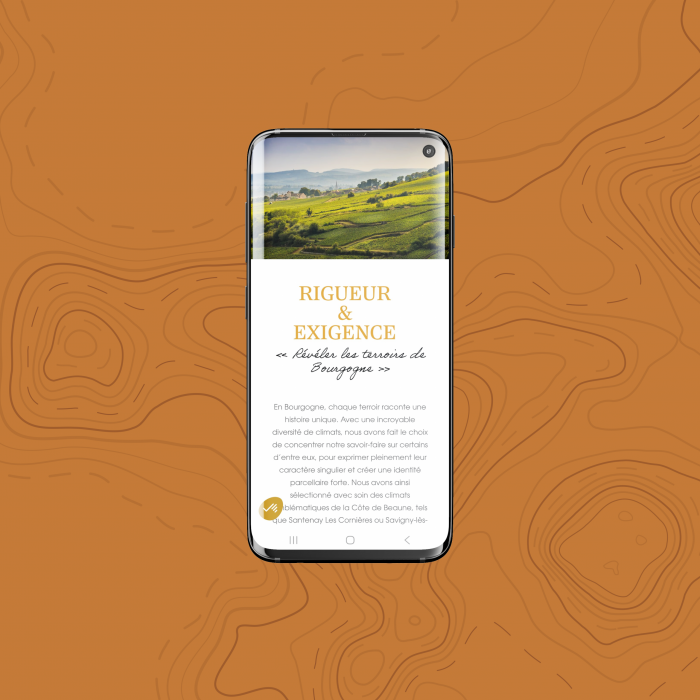 Site Web • Maison Paul Manevey
